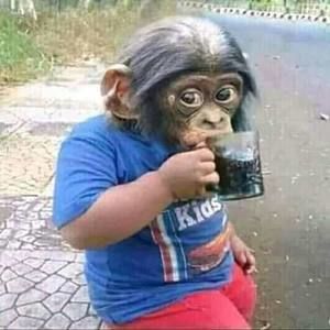 Meet your Posher, Caliman